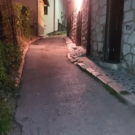 Dijana *