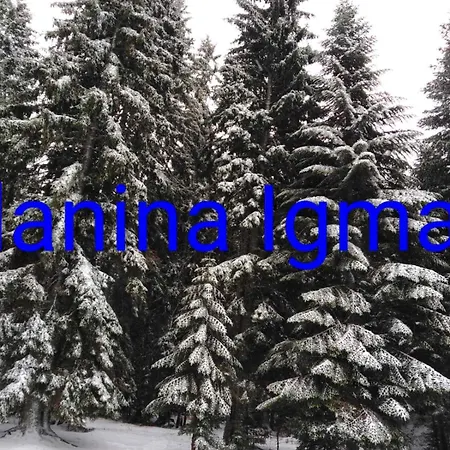 Vitraz アパート *