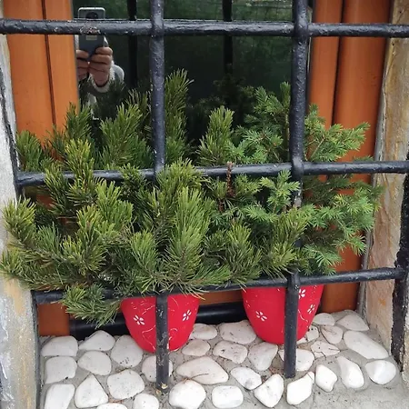 Vitraz サラエヴォ